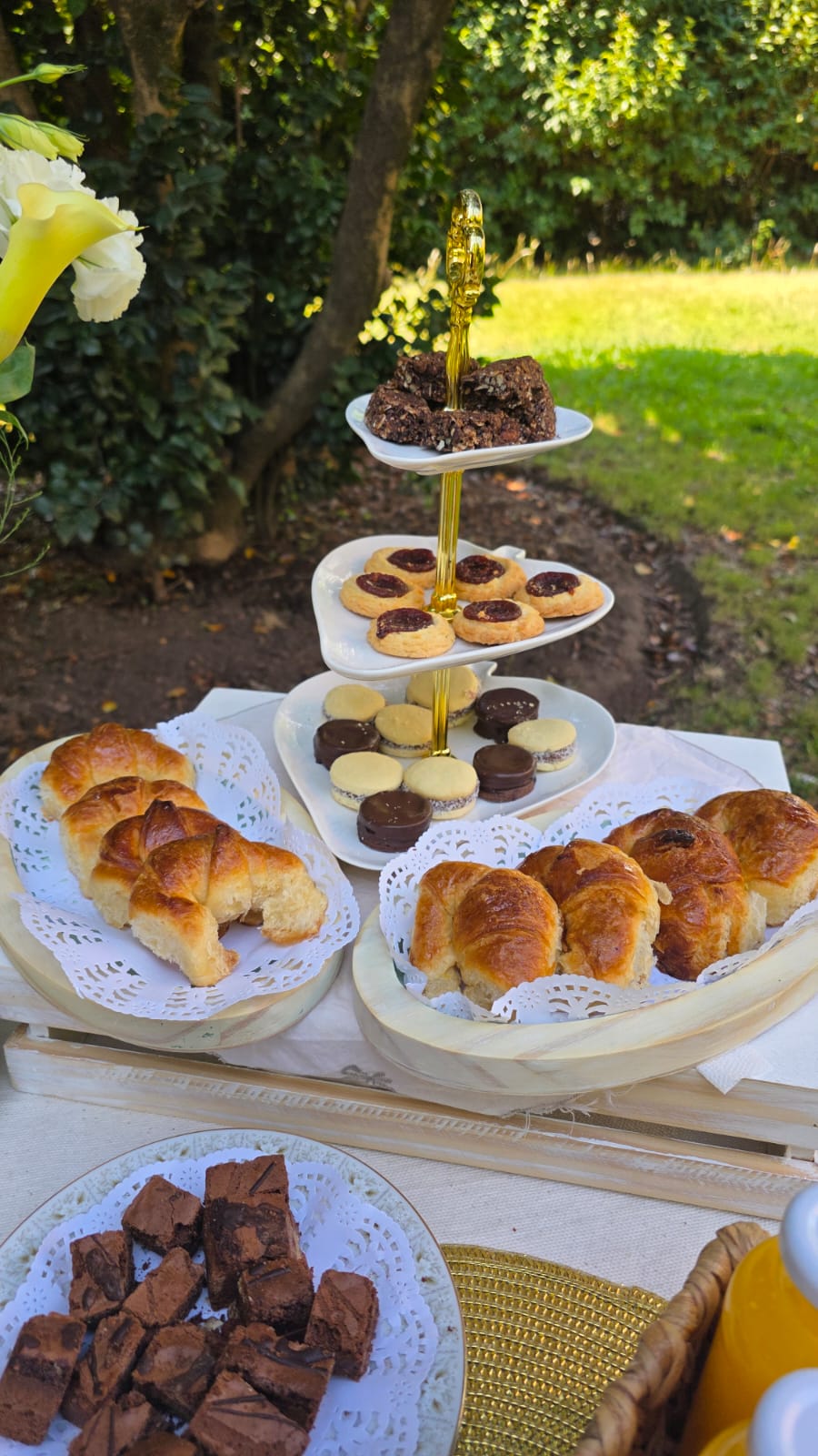 Picnic en el jardín