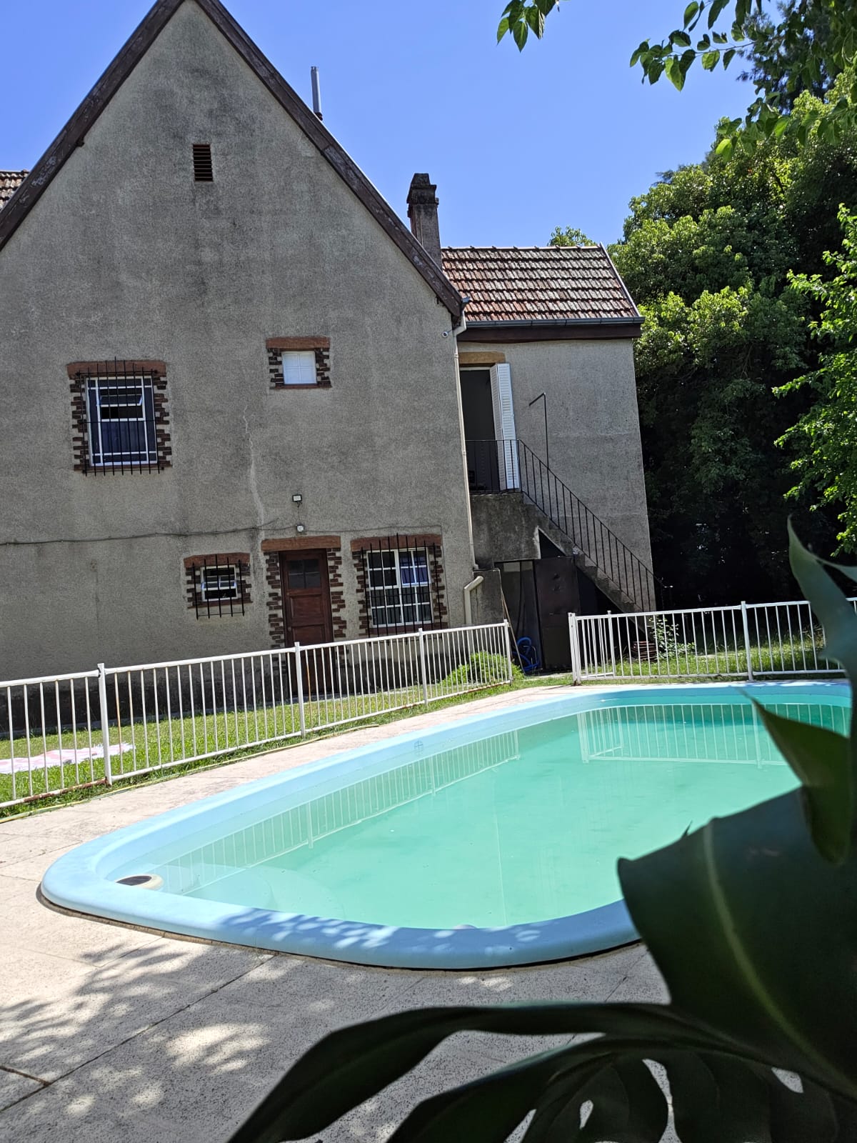 Piscina rodeada de vegetación
